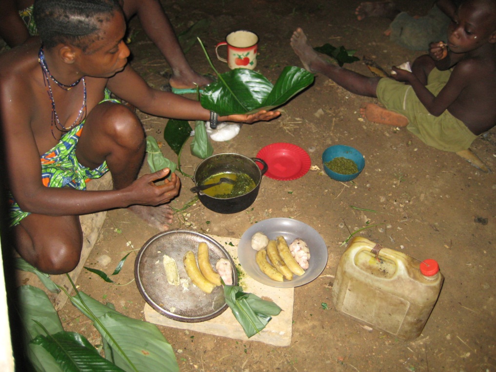 キャッサバ若葉の煮物 | アフリック・アフリカ
